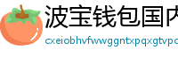 波宝钱包国内下载